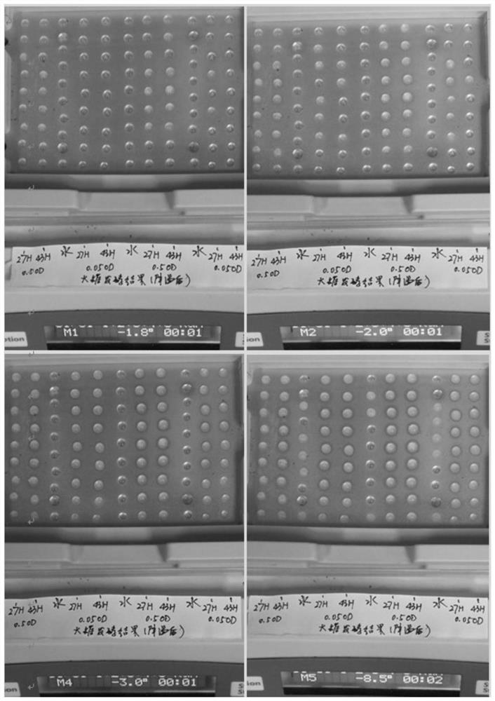 Method for producing ice nuclei protein by recombinant escherichia coli fermentation