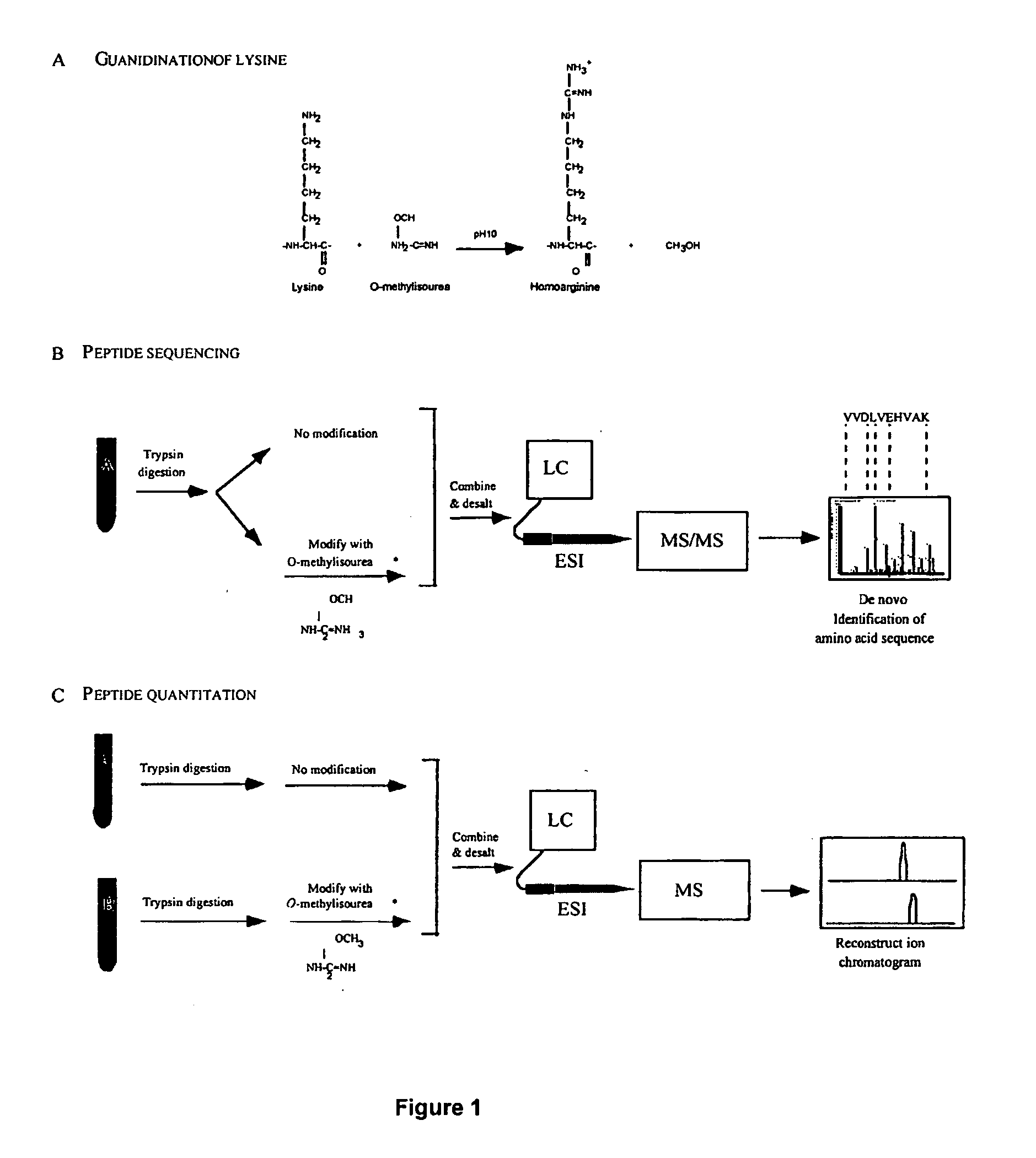 Protein expression profile database