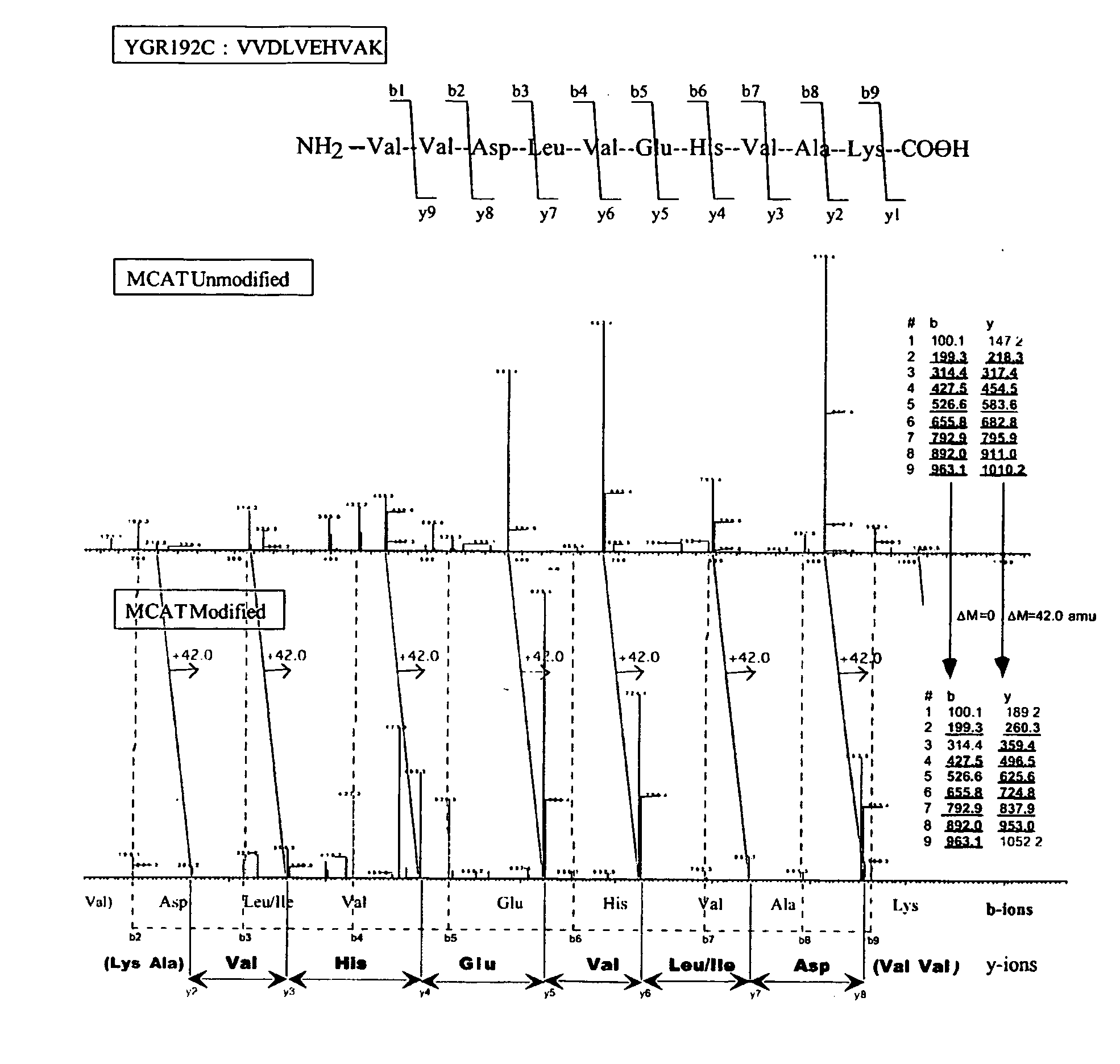 Protein expression profile database