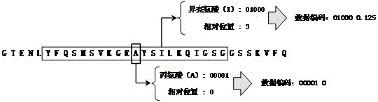 BP neural network based protein secondary structure prediction method