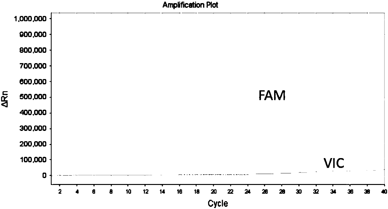 Nucleic acid composition for CYP2C19 gene typing detection as well as detection kit and application