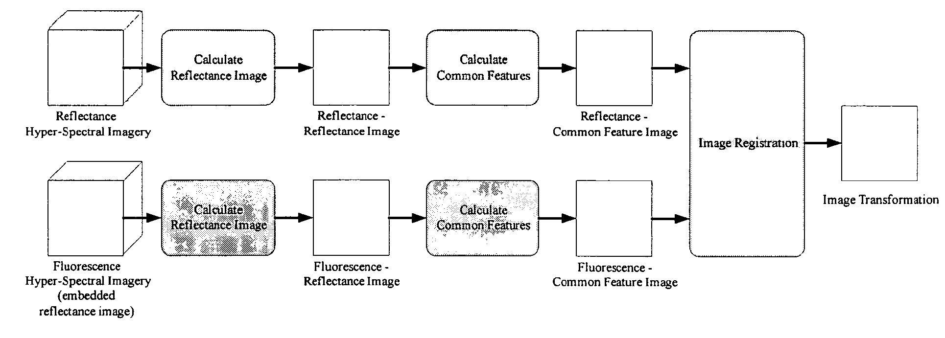 Systems and methods for registering reflectance and fluorescence hyperspectral imagery