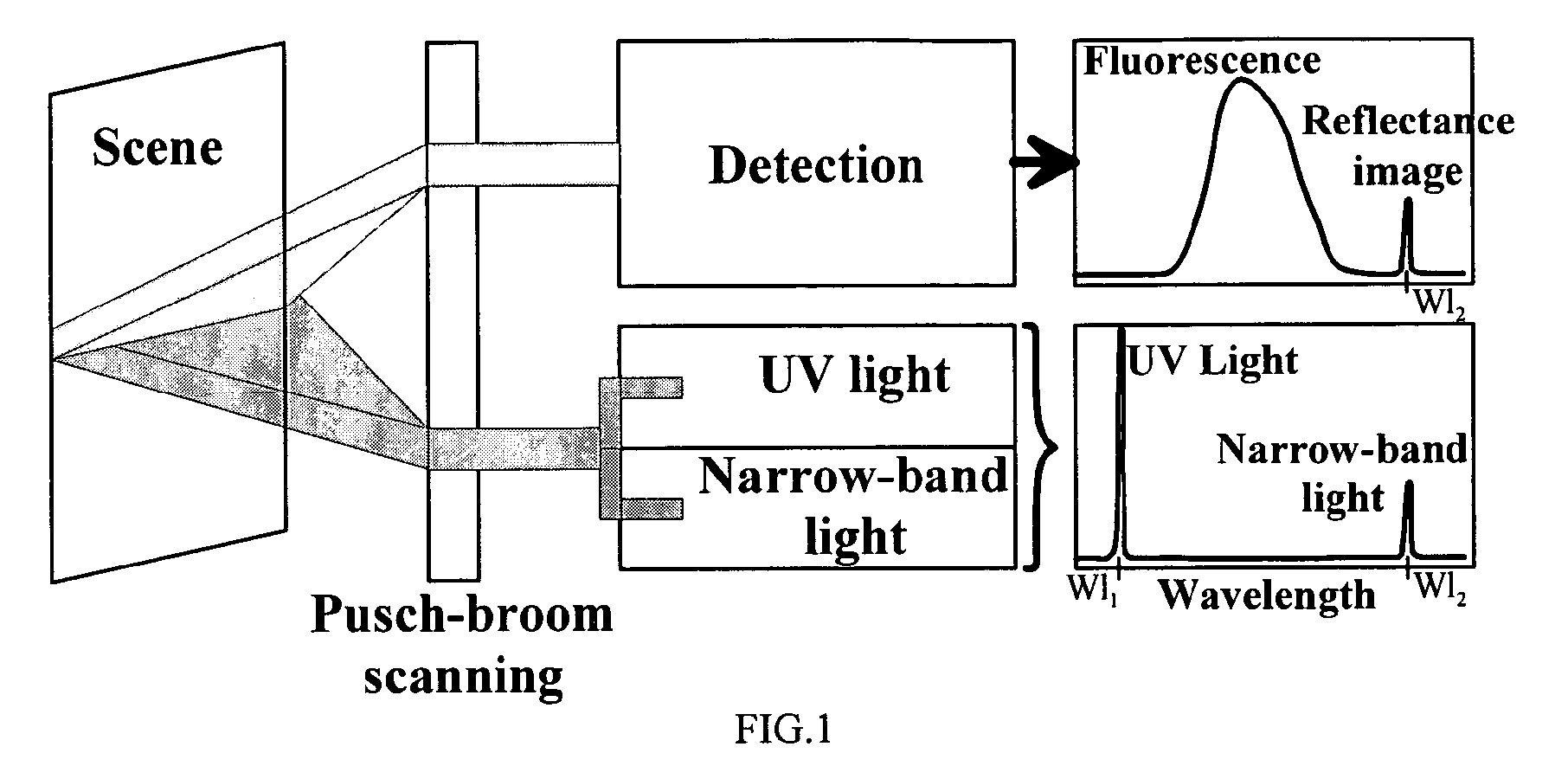 Systems and methods for registering reflectance and fluorescence hyperspectral imagery