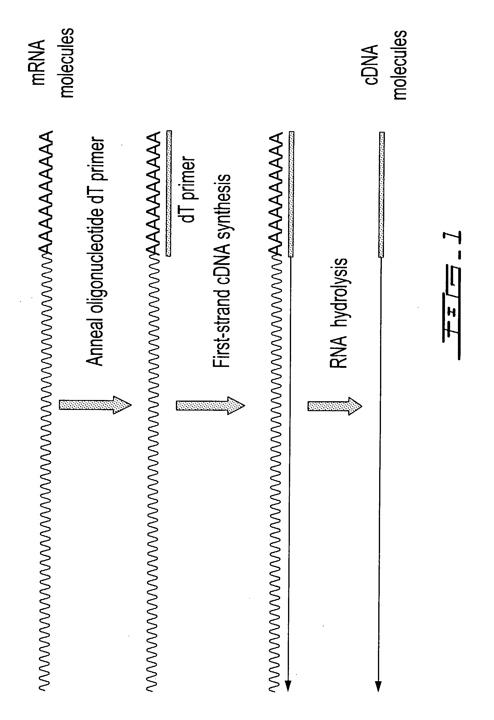 Selective terminal tagging of nucleic acids