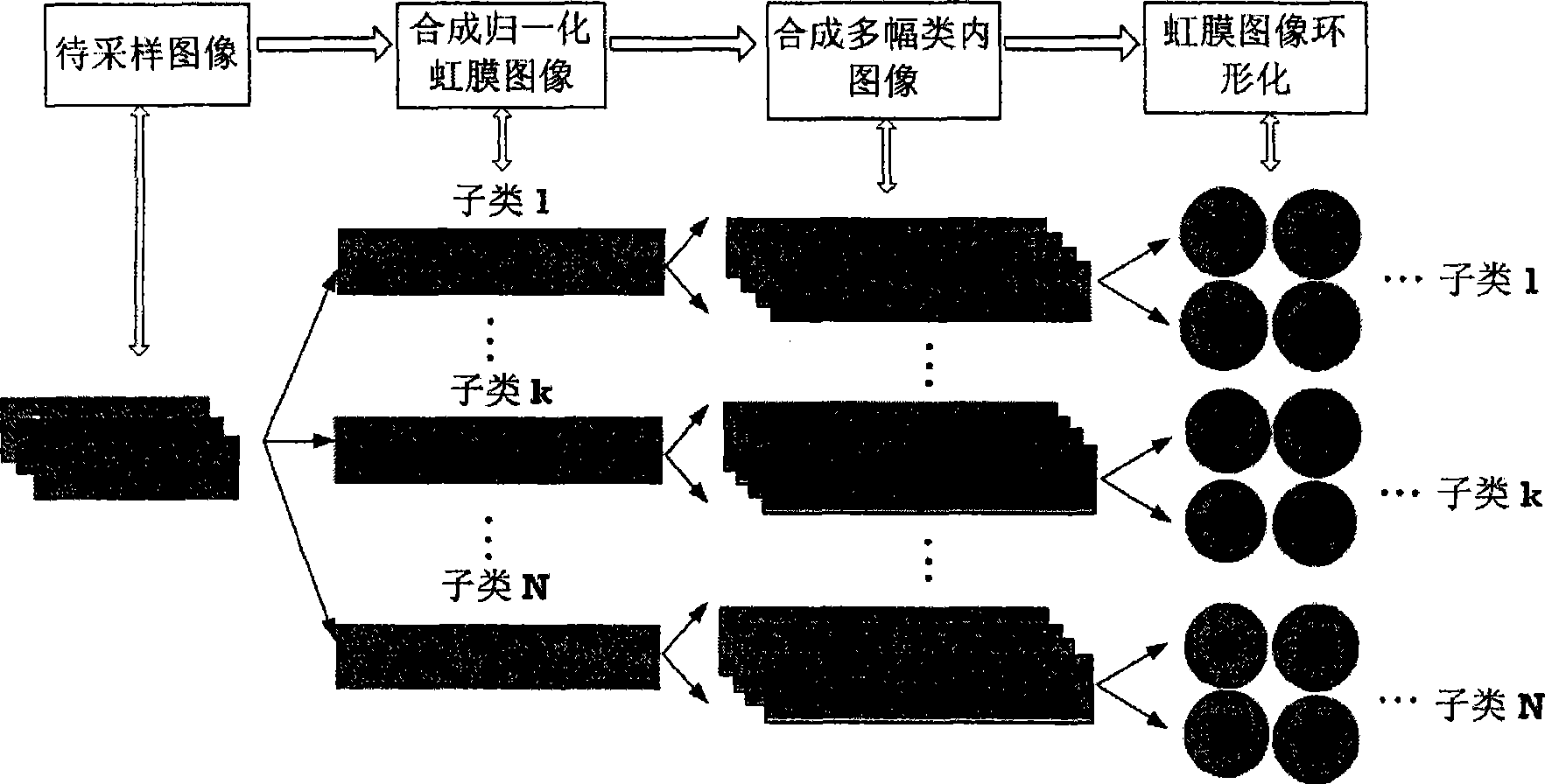 Iris image database synthesis method based on block texture sampling