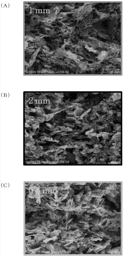 Positive electrode for electricity-storage device and method for manufacturing electricity-storage device and slurry for electricity-storage-device positive electrode