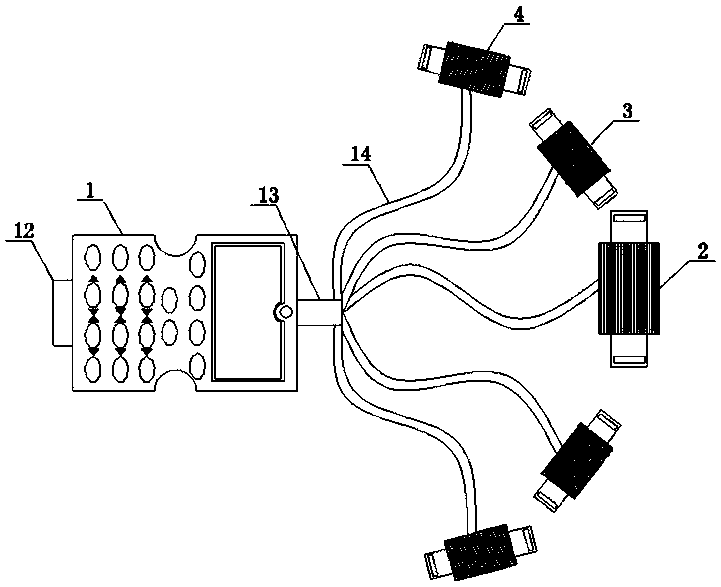 Multi-point muscle stimulator