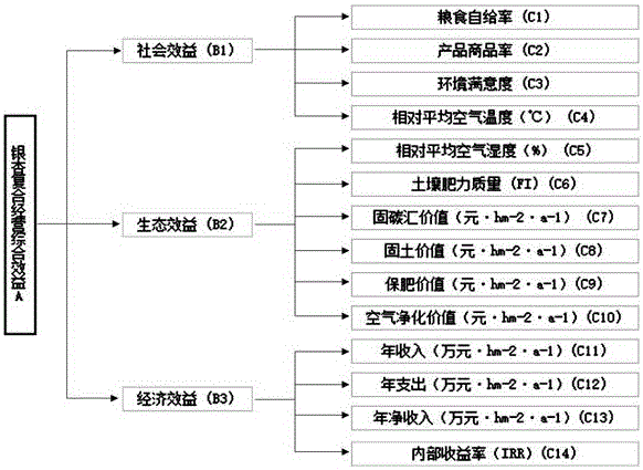 Sustainable management evaluation method for ginkgo composite management system