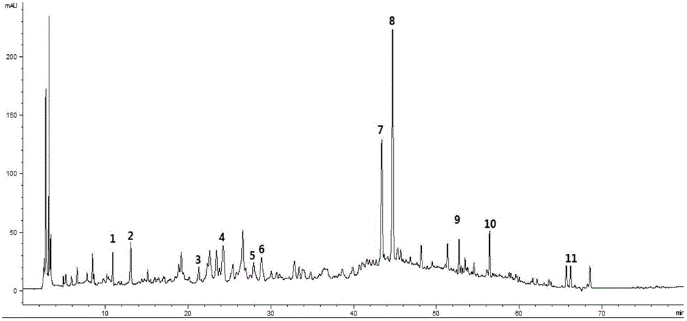 Quality evaluation method for dendrobe medicinal material