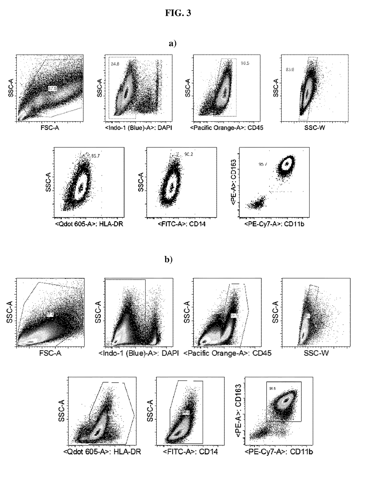 Differentiation of macrophages from pluripotent stem cells