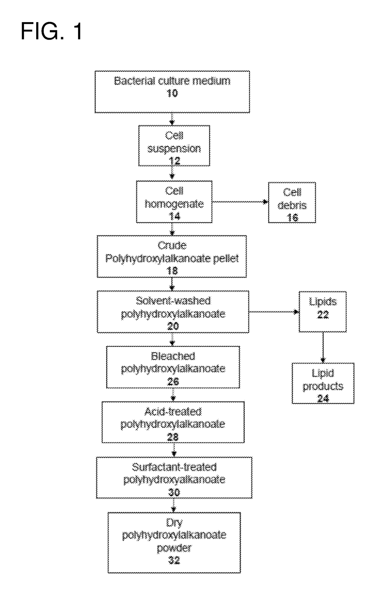 Bioactive biopolymer films and coatings