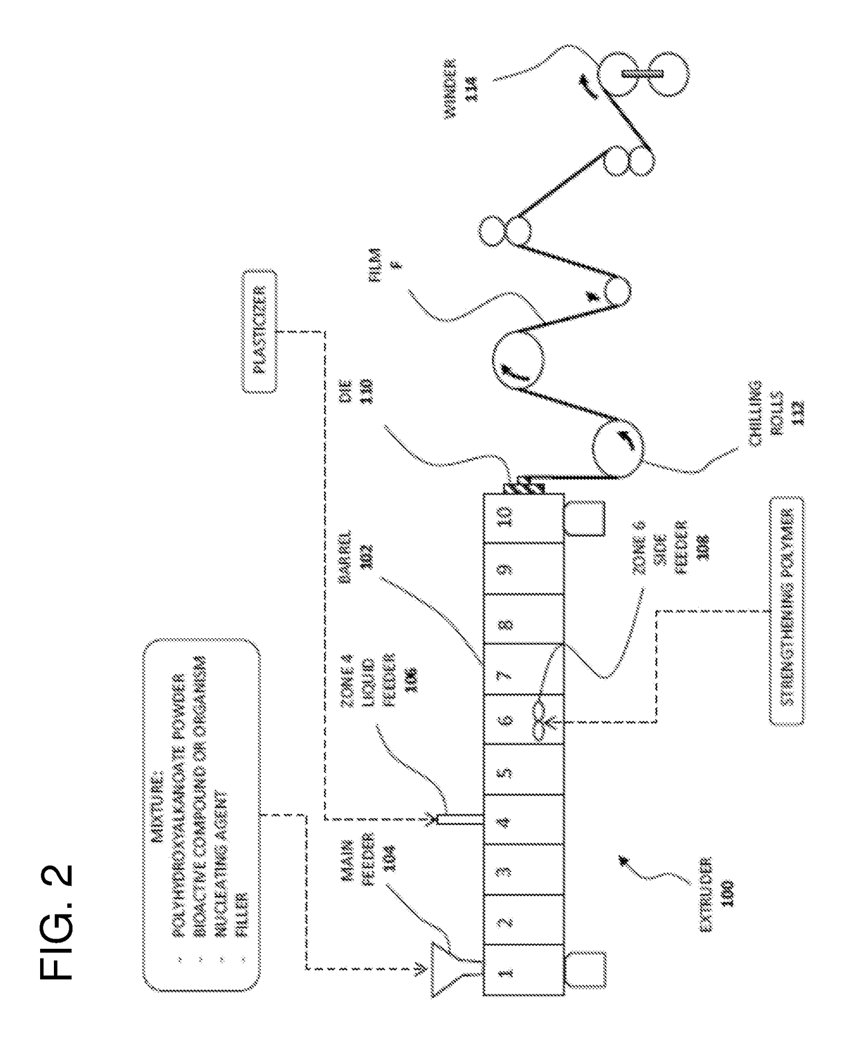 Bioactive biopolymer films and coatings