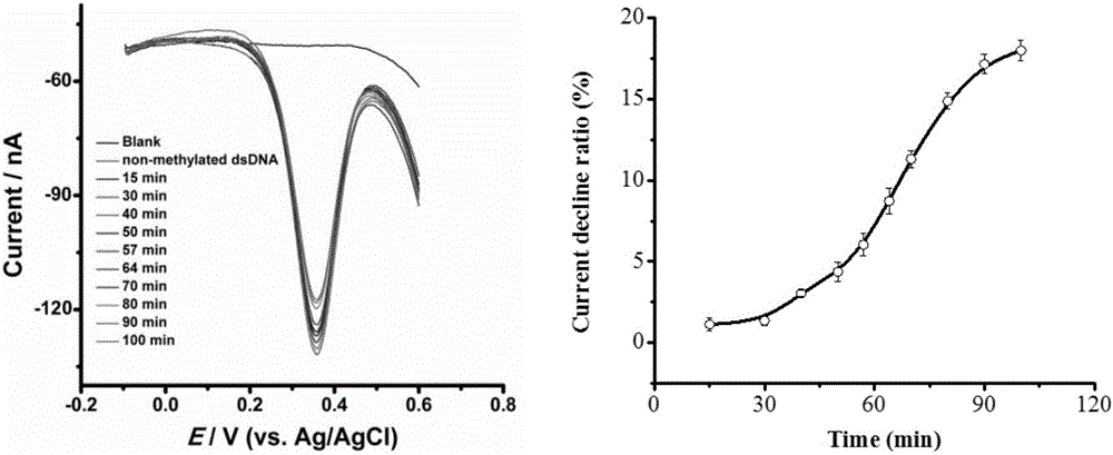 DNA methylation real-time detection method and application thereof