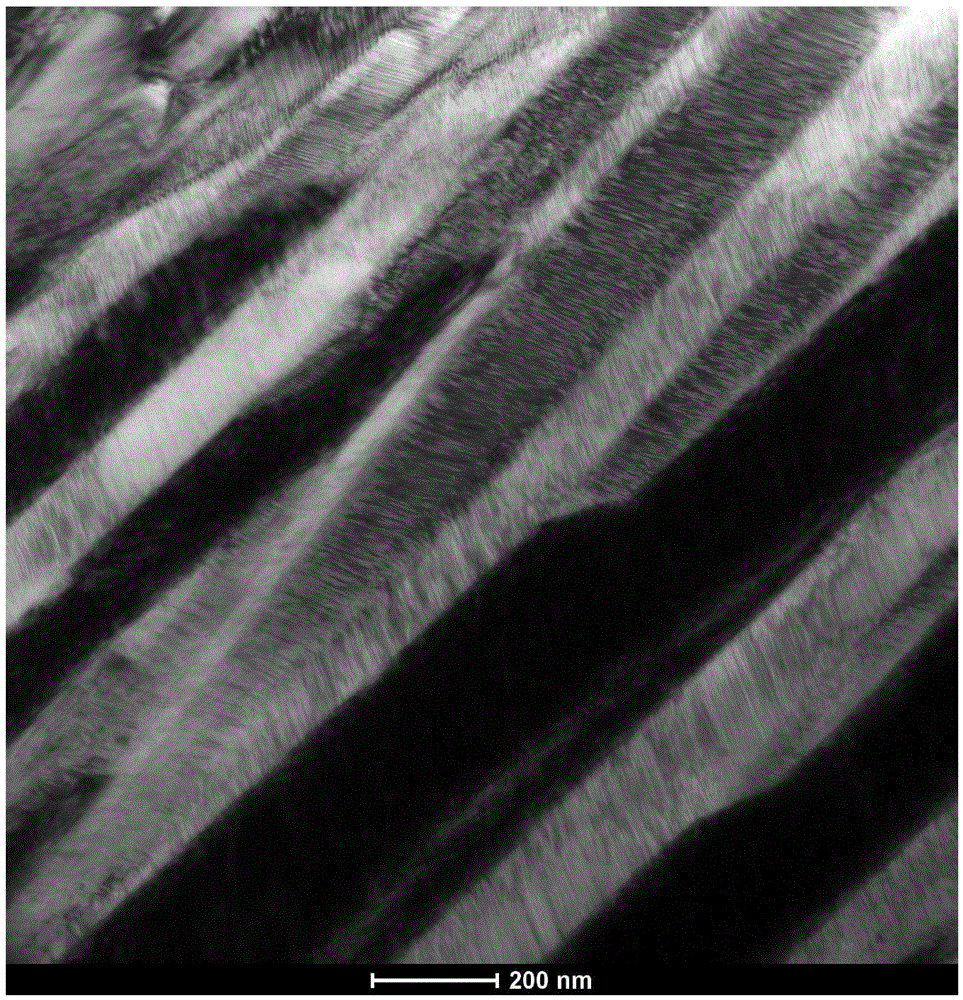 Magnetic material with magnetic field-driven martensitic twin rearrangement and preparation method thereof