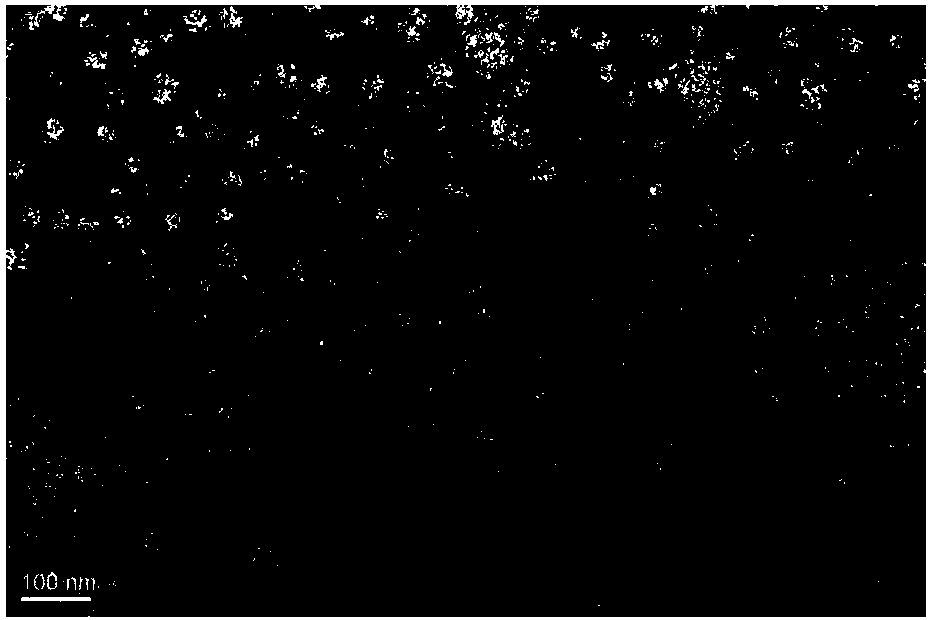 Application of injectable microRNA activated hydrogel to promotion of healing of alveolar bone for implant tooth