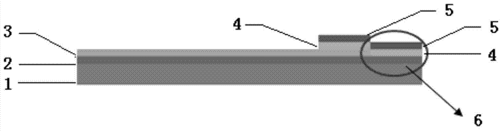 Production of low-density carbon nanotube array composite electrode and application of same and in glucose sensor