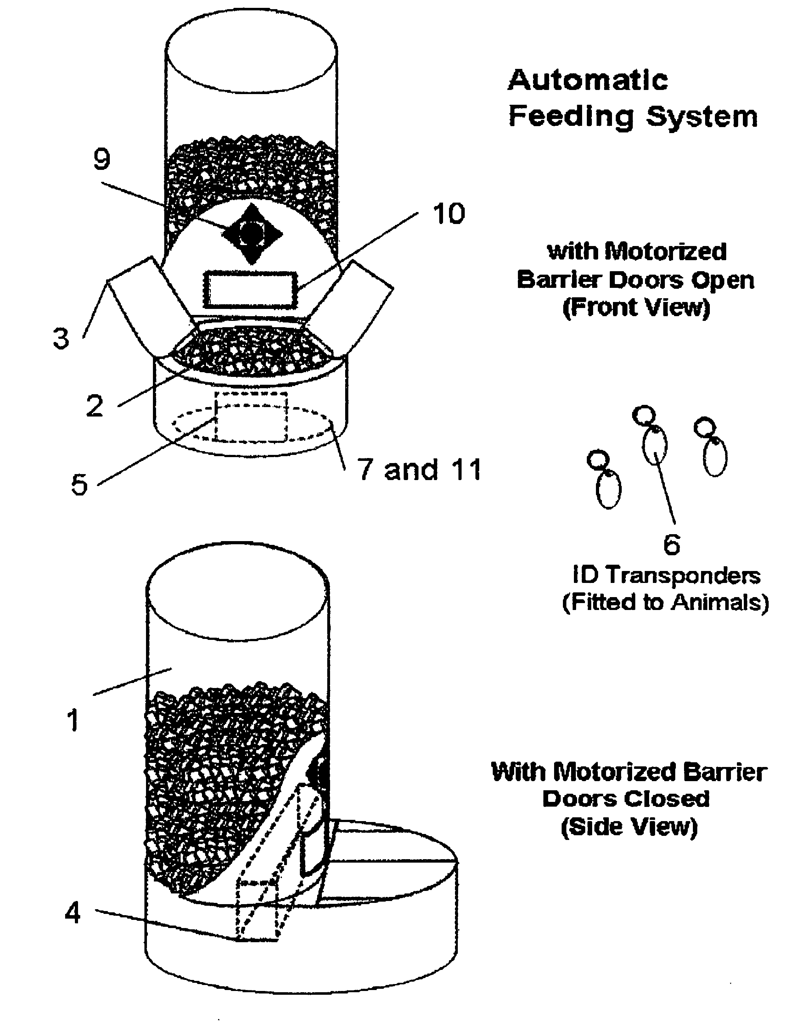 Automatic feeding system, device and method