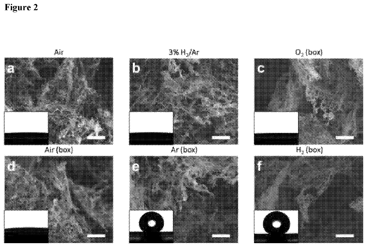 Antibiofilm and antimicrobial functional membrane spacer