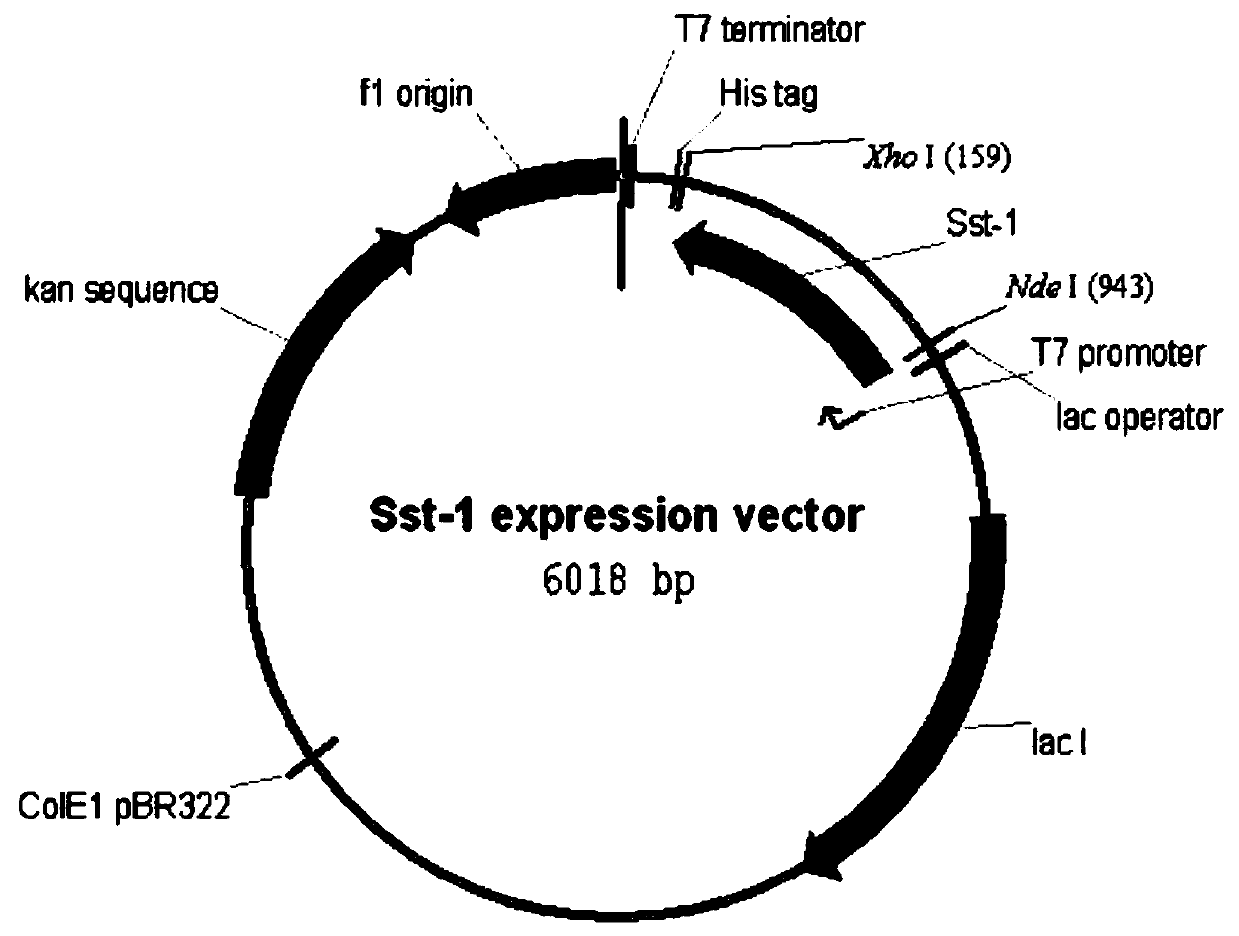 Bioconversion method for anti-AIDS-medicine-reyataz midbody