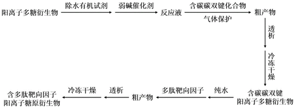 Polysaccharide derivative containing polypeptide targeting factor and preparation method thereof