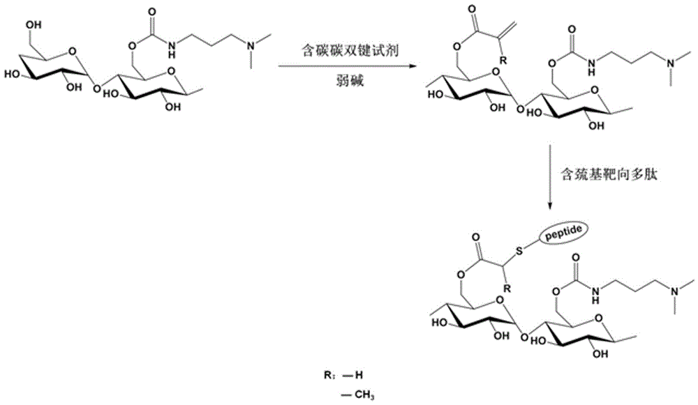 Polysaccharide derivative containing polypeptide targeting factor and preparation method thereof