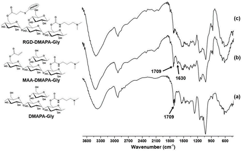 Polysaccharide derivative containing polypeptide targeting factor and preparation method thereof