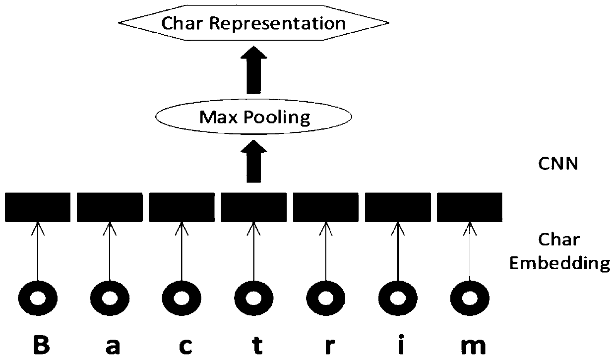 Character-level clinical concept extraction named entity recognition method and system