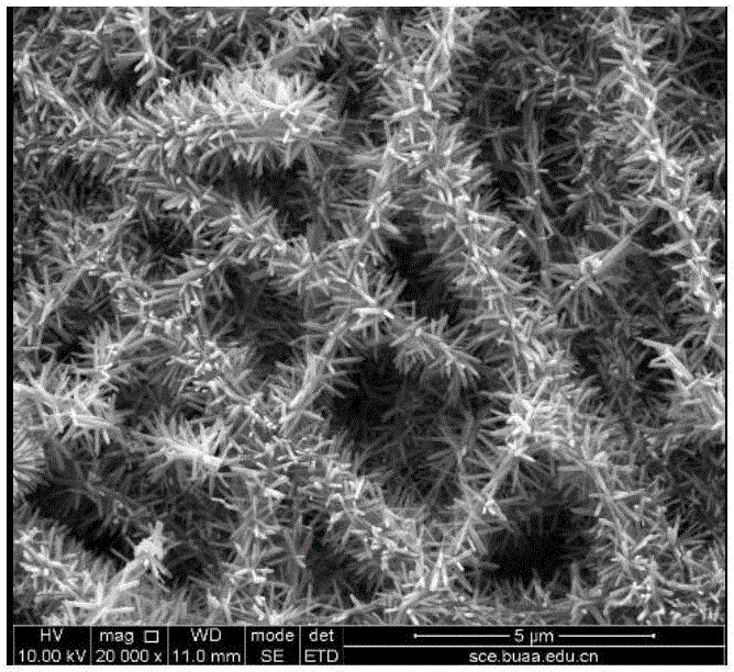 Preparation method of super wetting titanium dioxide nanorod porous membrane and application of super wetting titanium dioxide nanorod porous membrane to emulsion separation