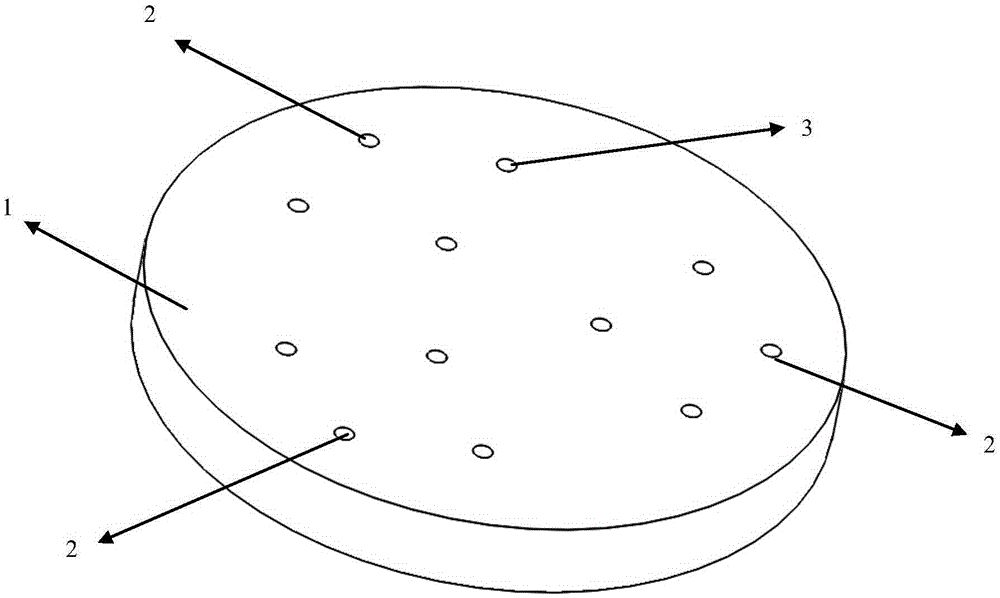 Controllable temperature disc structure provided with ceramic bush