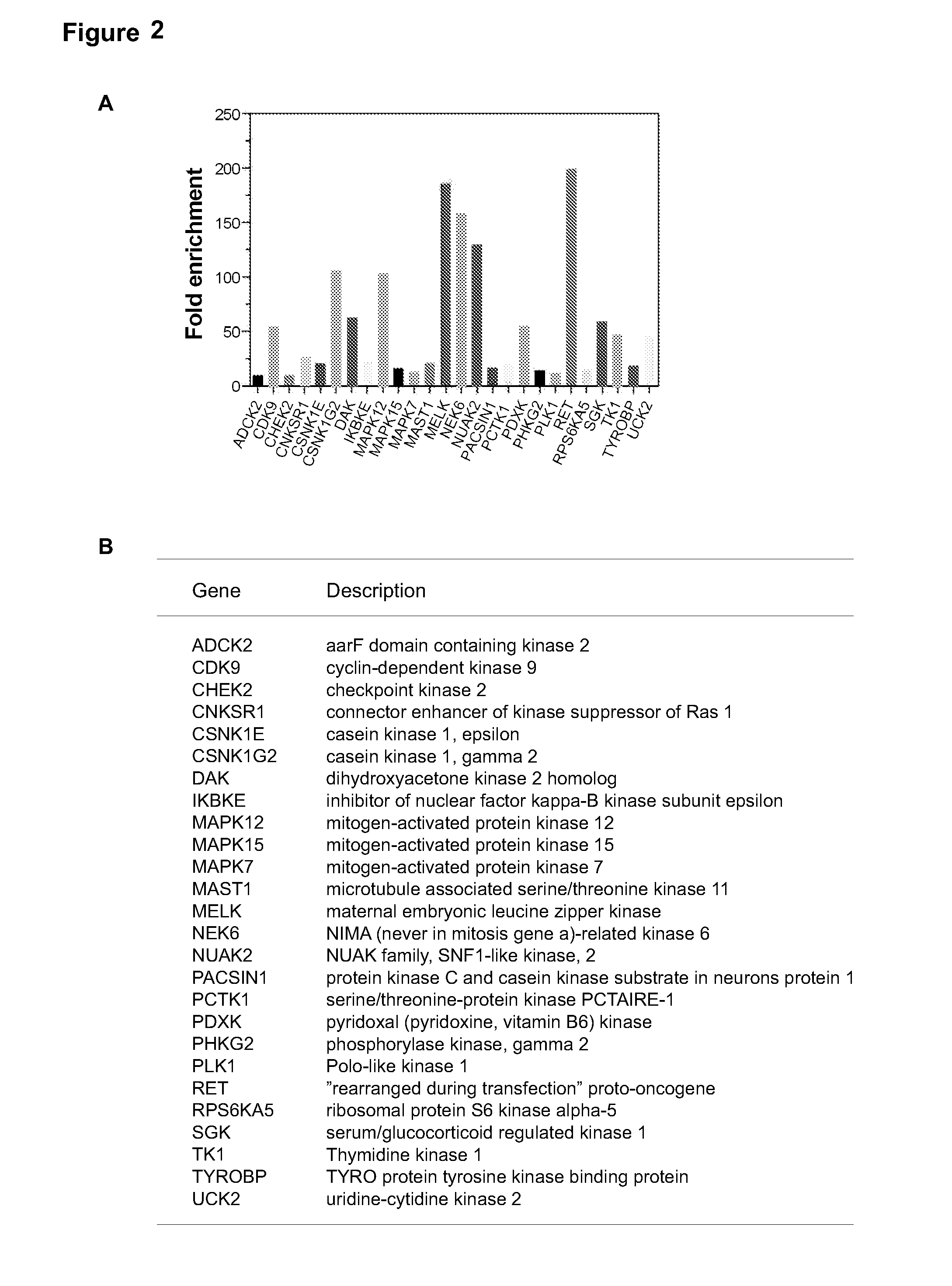 MELK Regulation for the Treatment of Breast Cancer