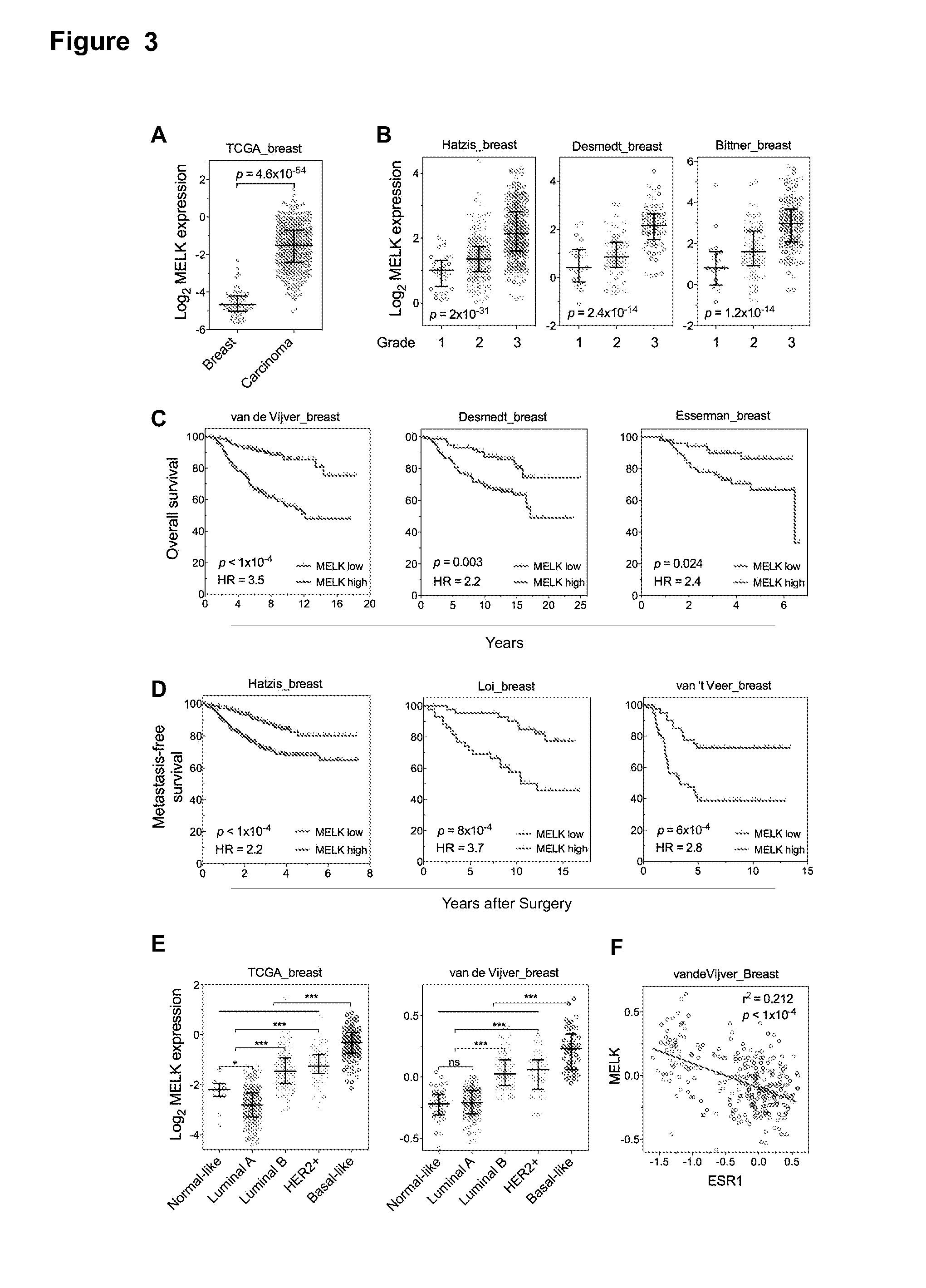 MELK Regulation for the Treatment of Breast Cancer