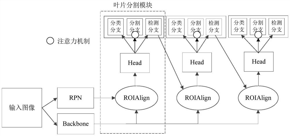 Plant leaf segmentation method