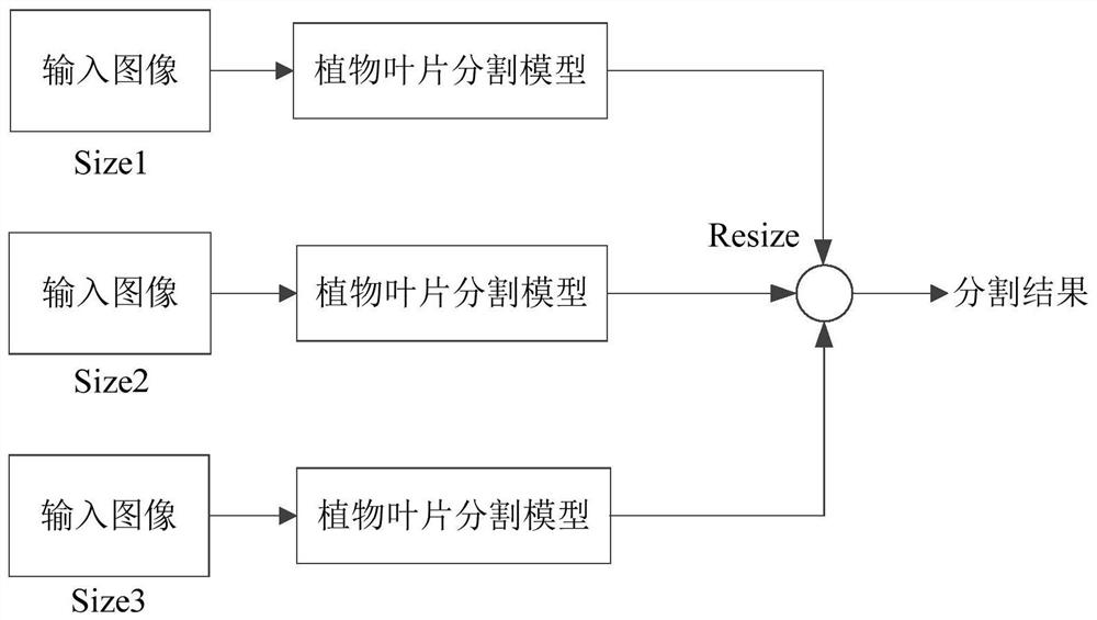 Plant leaf segmentation method