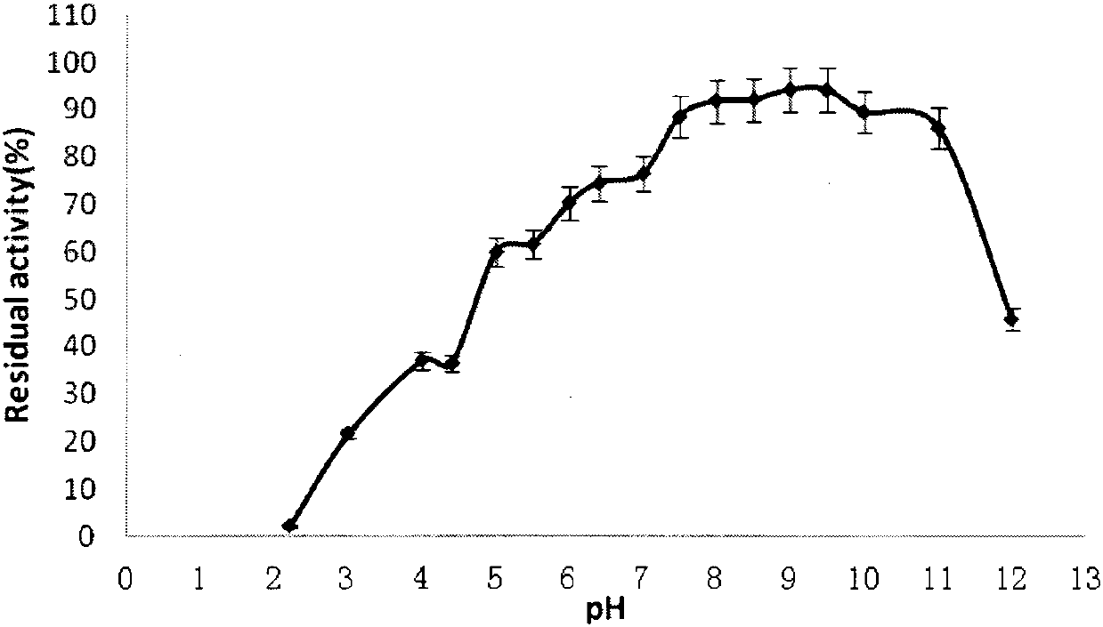 A kind of gladiolus Burkholder strain and its fermentative method for producing alkaline lipase