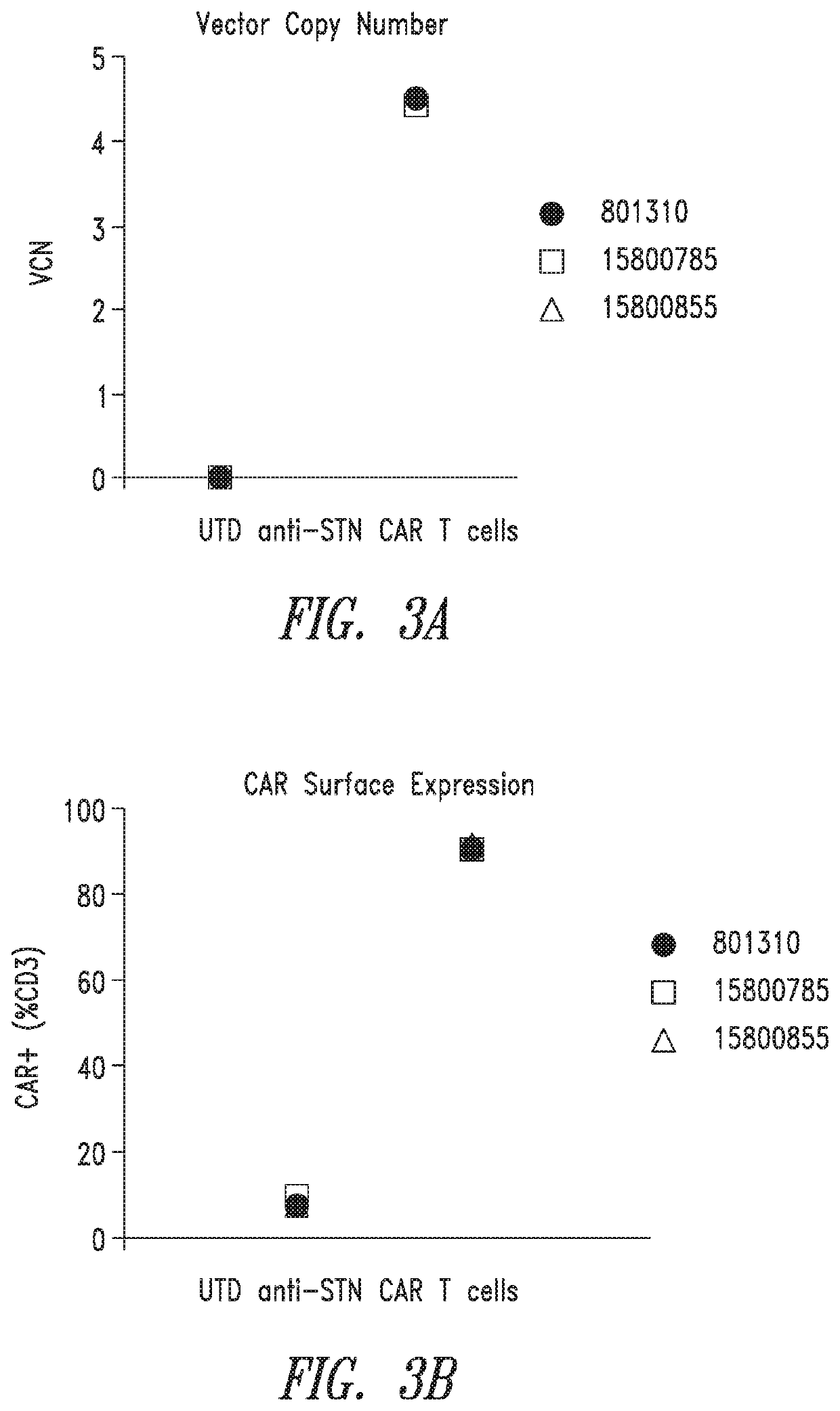 Anti-Sialyl Tn chimeric antigen receptors