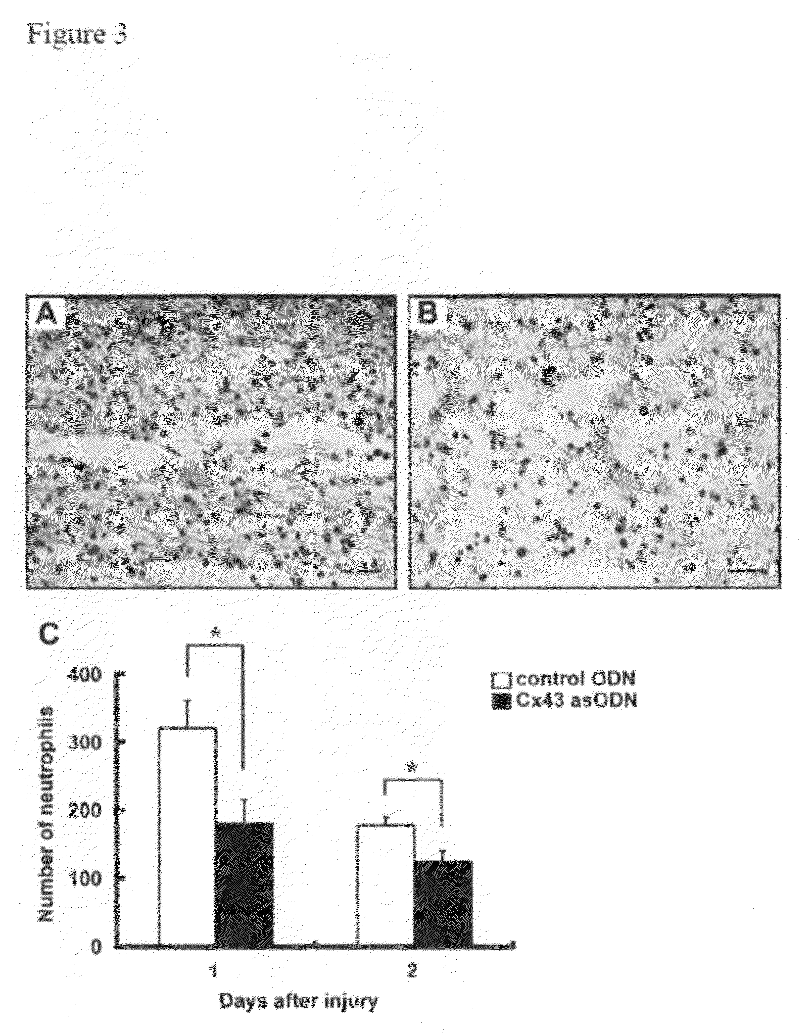 Methods and compositions for wound healing