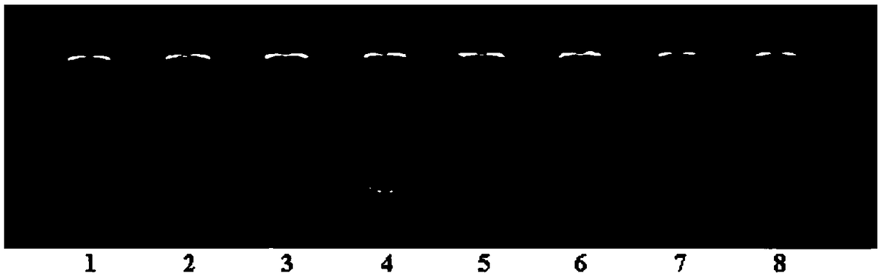 RT-LAMP based primer set and kit for detecting SFTSV