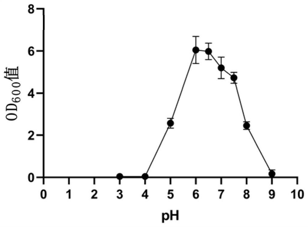 Paenibacillus sp. CL01 and application thereof