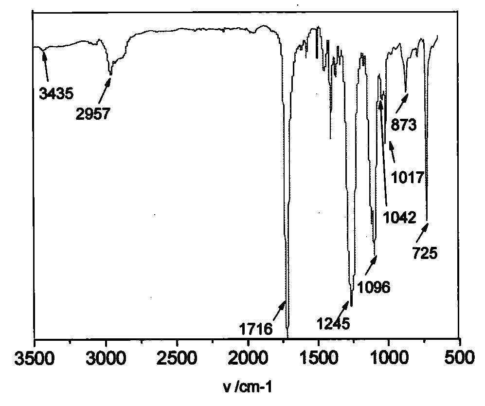 Hydrophilic polyester and preparation method thereof