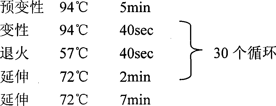 Method for improving expression of recombinant human macrophage inhibitor-1(MIC-1) in pichia yeast