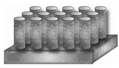 Three-dimensional proton conductor based ordered single electrode and membrane electrode as well as preparation methods