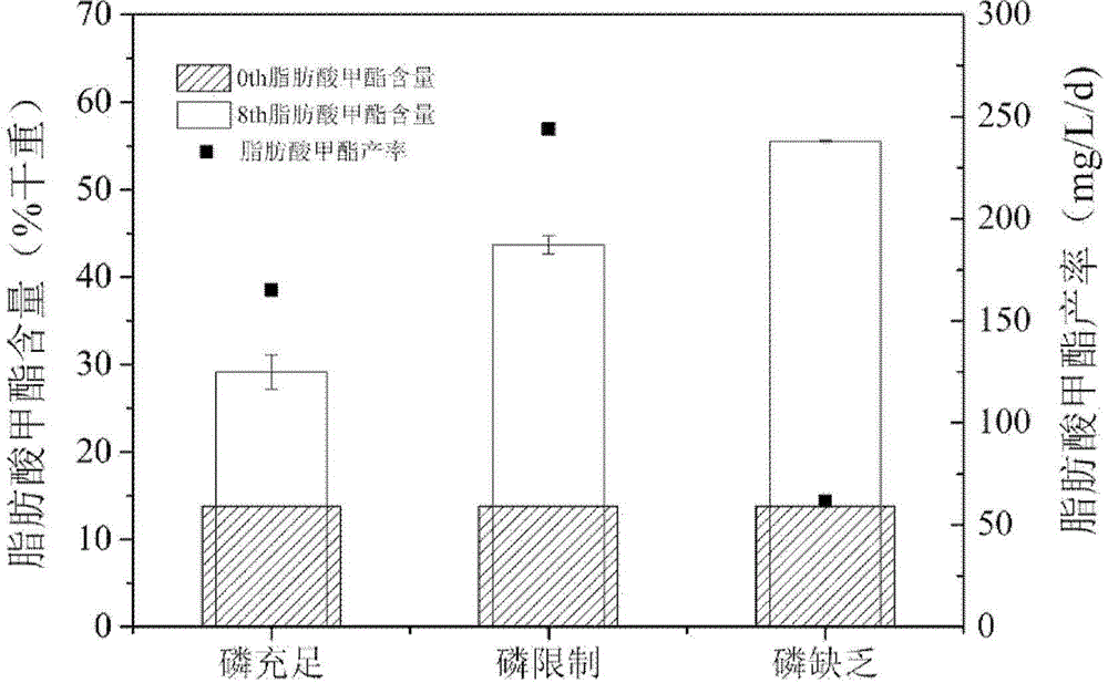 Method for increasing yield of microalgae fatty acid in heterotrophism