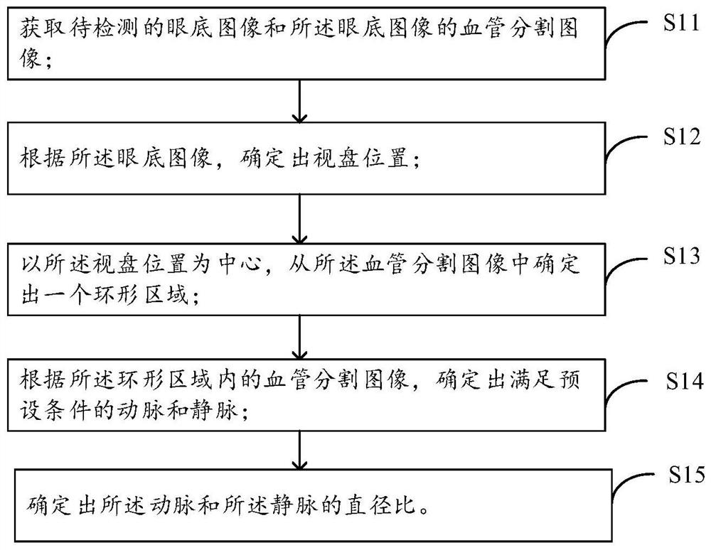 Method and device for determining arteriovenous diameter ratio in fundus image and electronic equipment