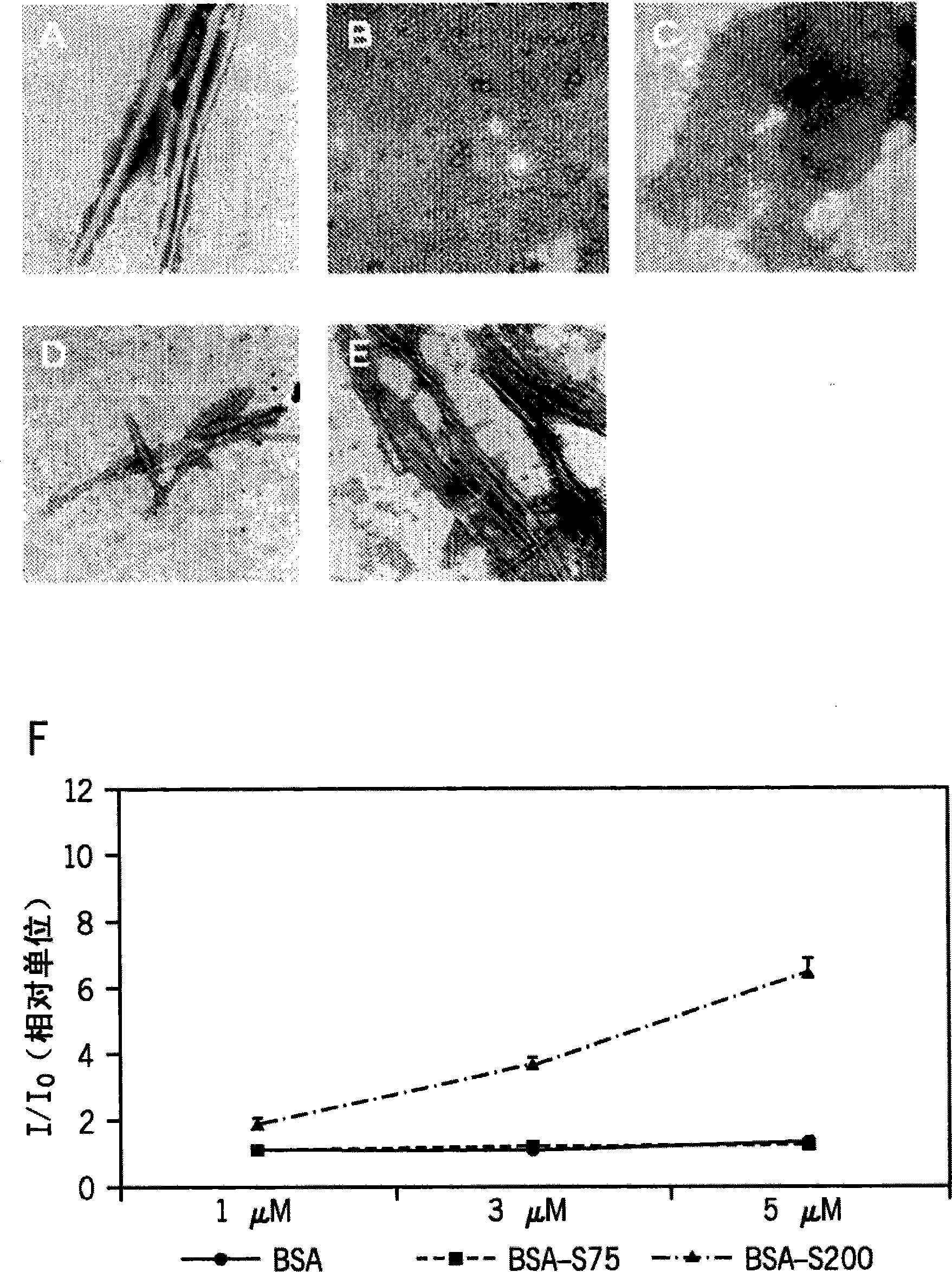 Process to produce fibrillar proteins and method of treating using fibrillar proteins