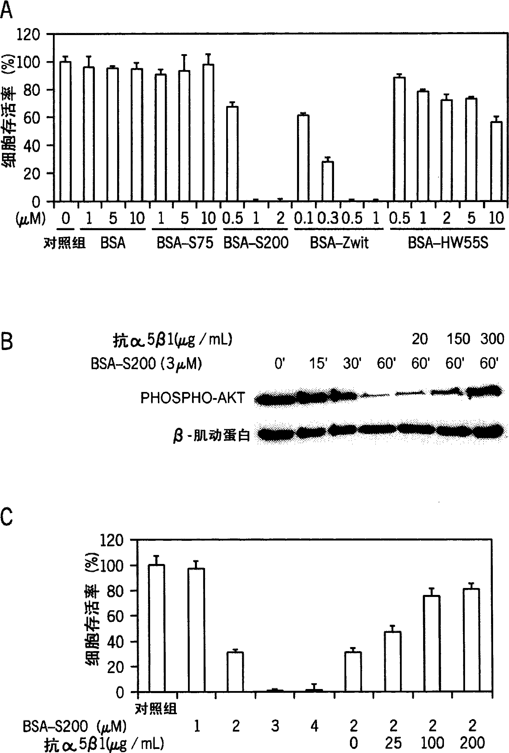 Process to produce fibrillar proteins and method of treating using fibrillar proteins