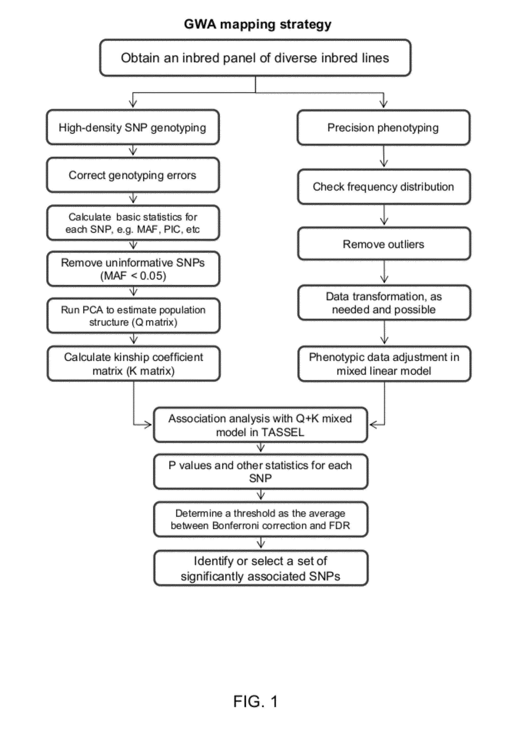 Method for selecting statistically validated candidate genes