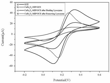 a cufe  <sub>2</sub> o  <sub>4</sub> Preparation of nano-microsphere electrochemical sensor and detection method for lysozyme