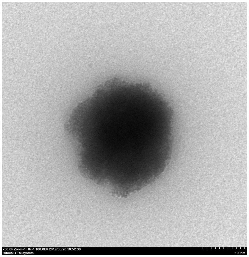 a cufe  <sub>2</sub> o  <sub>4</sub> Preparation of nano-microsphere electrochemical sensor and detection method for lysozyme