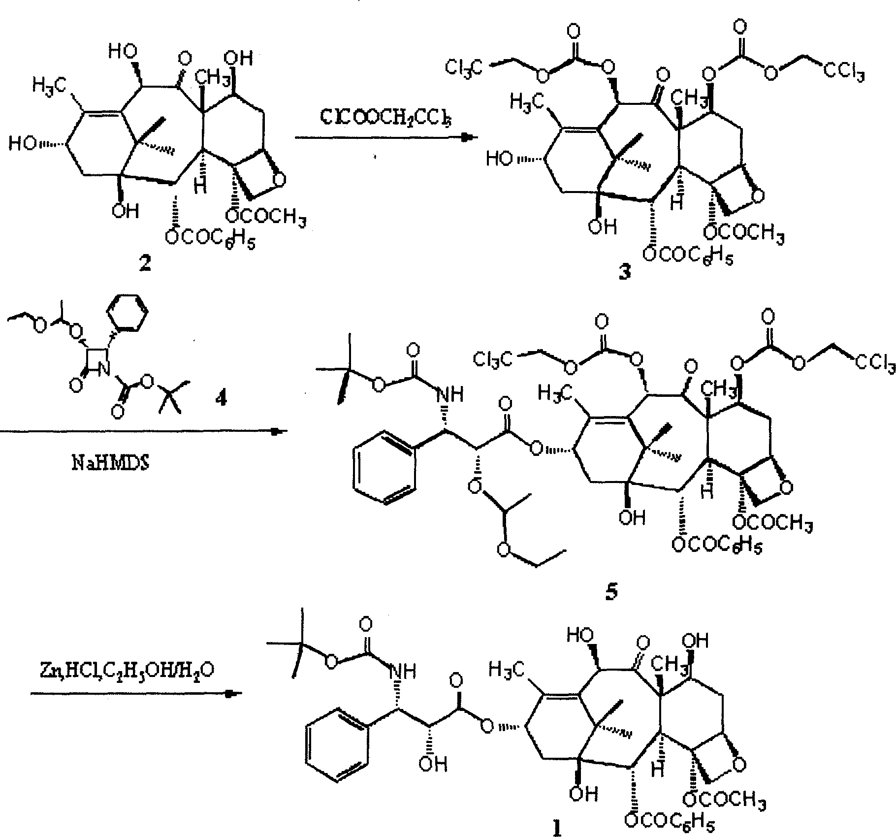 Synthesis process of polyene taxol