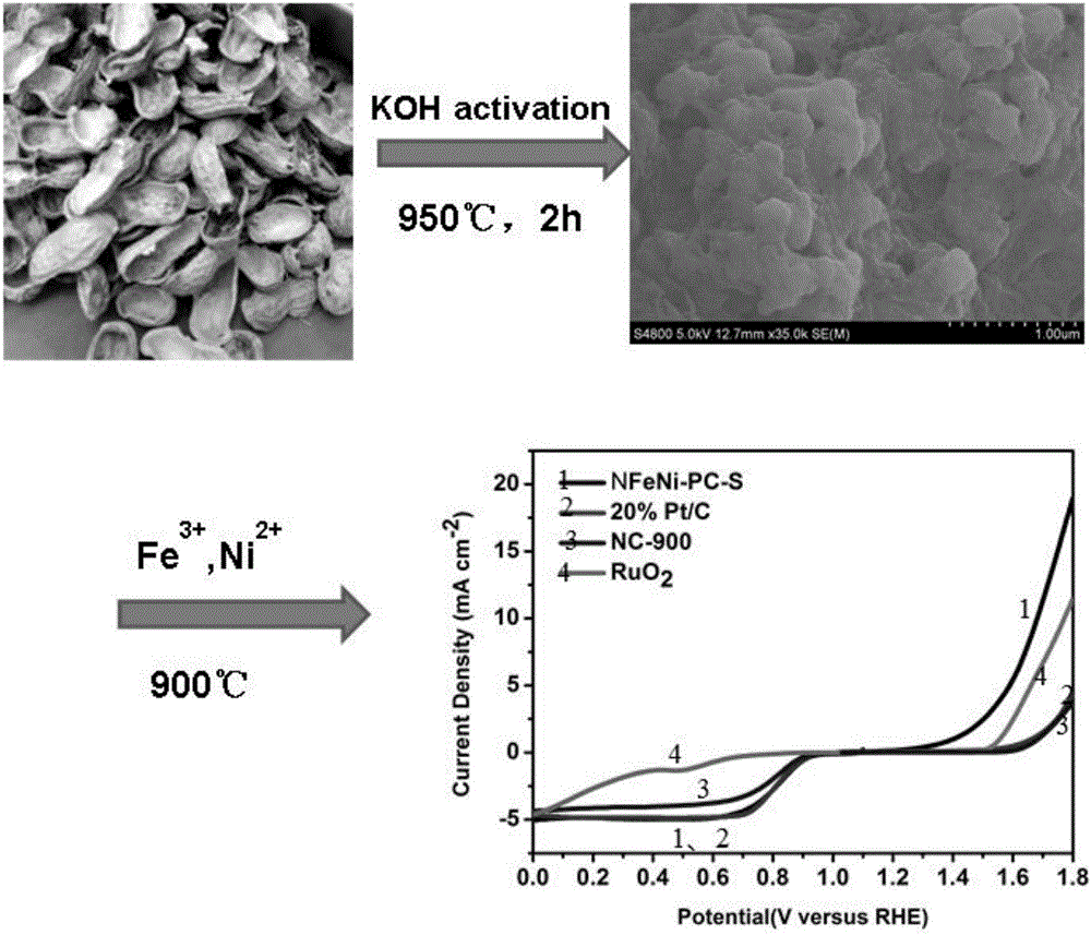 Method for preparing bifunctional catalyst from peanut hull